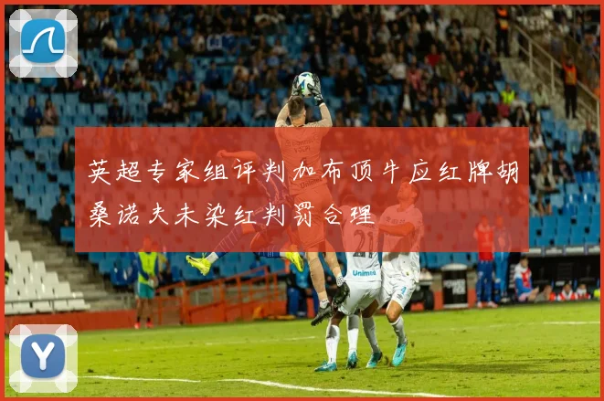 英超专家组评判加布顶牛应红牌胡桑诺夫未染红判罚合理