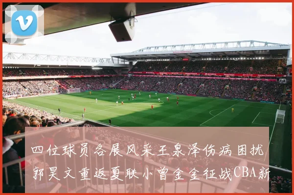 四位球员各展风采王泉泽伤病困扰郭昊文重返夏联小曾金金征战CBA新赛季