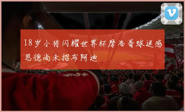 18岁小将闪耀世界杯摩洛哥球迷感恩德尚未招布阿迪